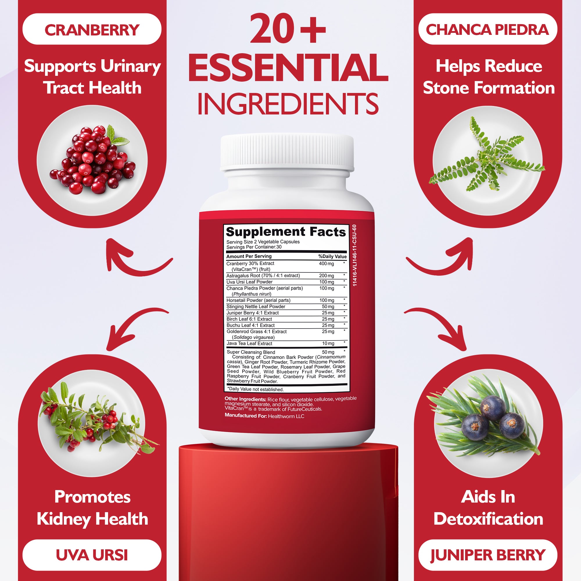 kidney repair supplement