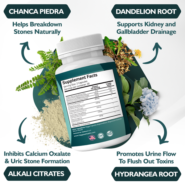 kidney stones dissolver